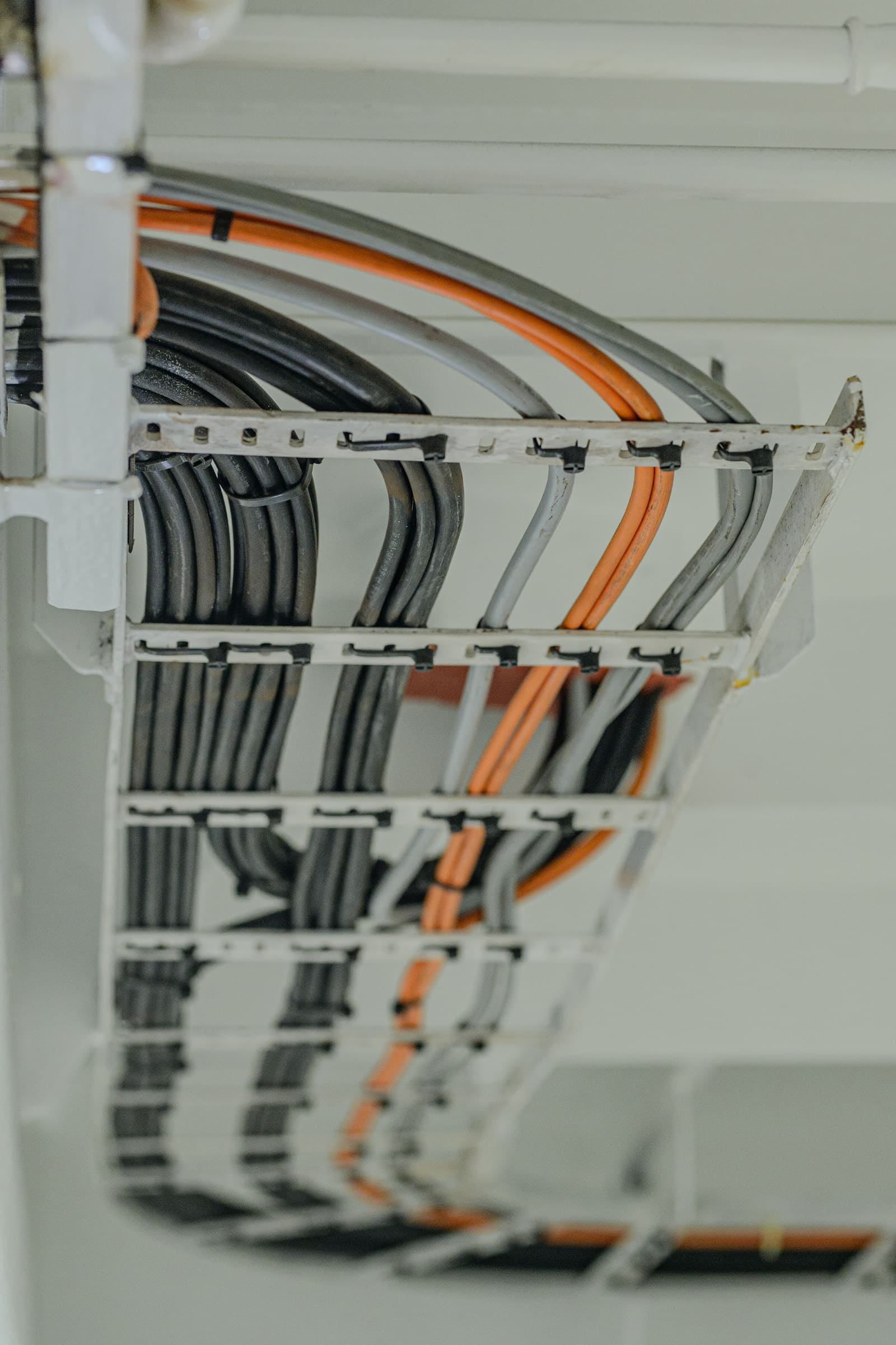 Cable tray section running under a deckhead with neatly routed bundles of marine power and signal cables